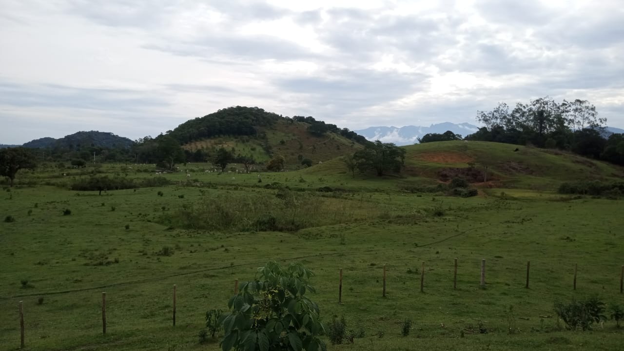 Fazenda à venda com 8 quartos - Foto 14