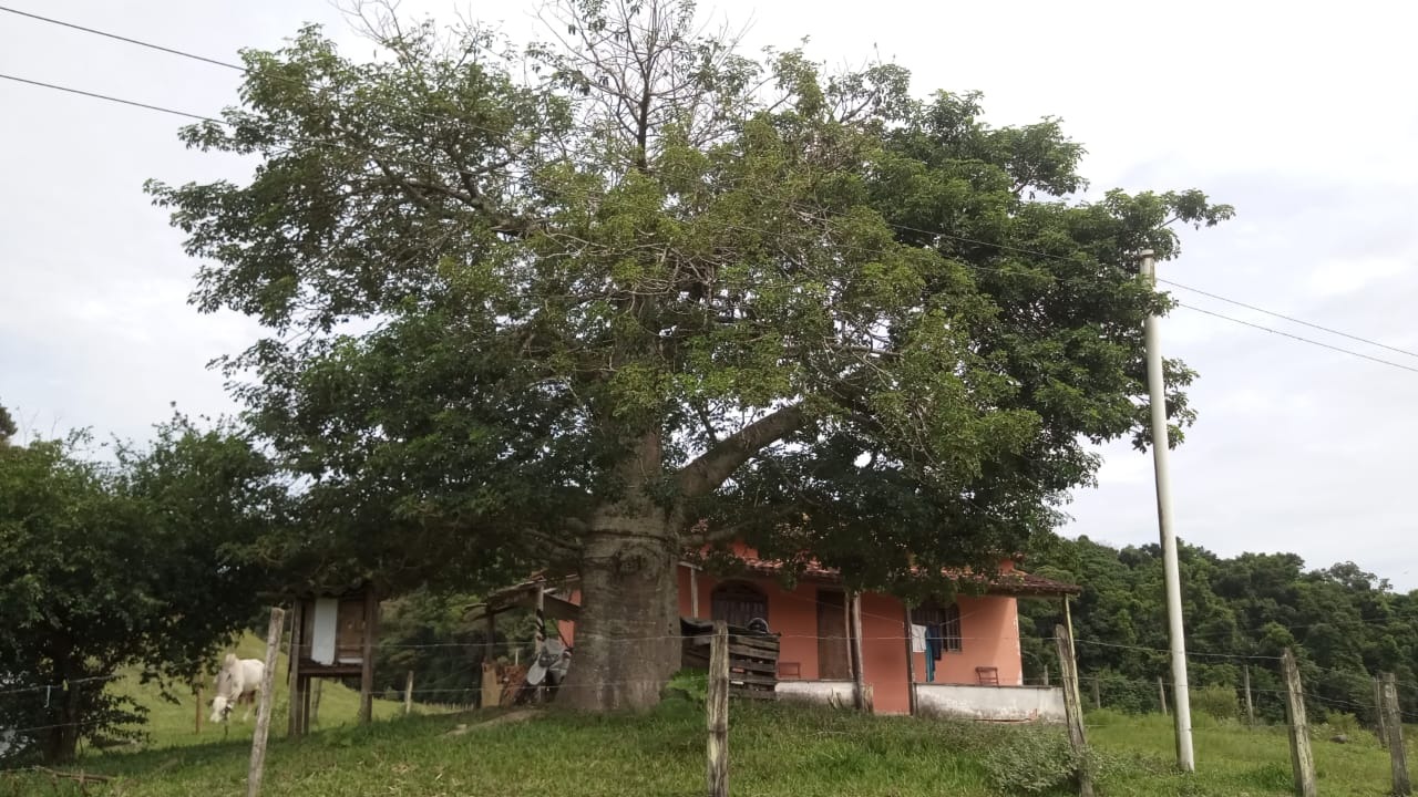 Fazenda à venda com 8 quartos - Foto 6