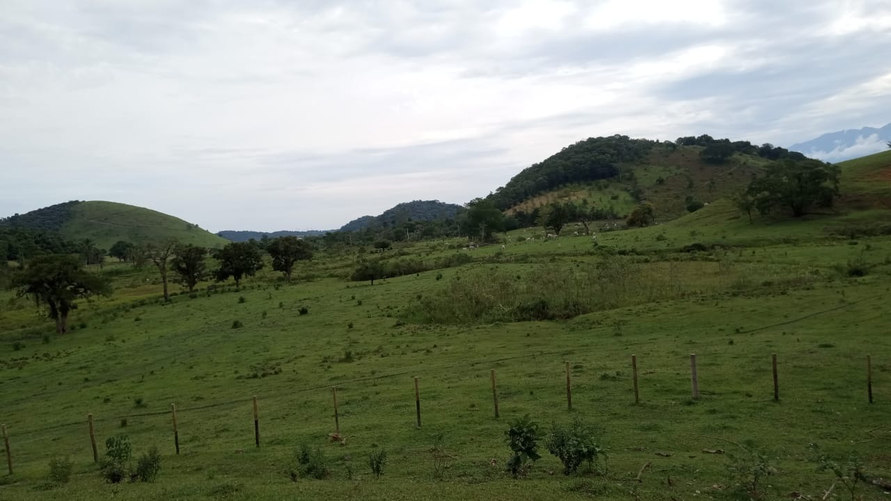 Fazenda à venda com 8 quartos - Foto 20