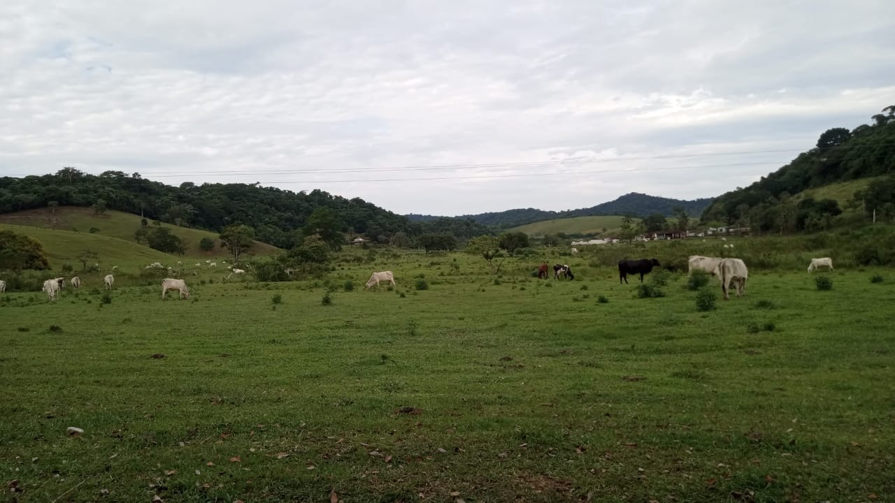 Fazenda à venda com 8 quartos - Foto 27