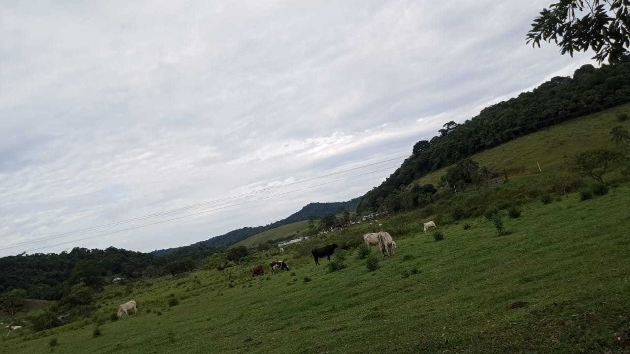 Fazenda à venda com 8 quartos - Foto 29