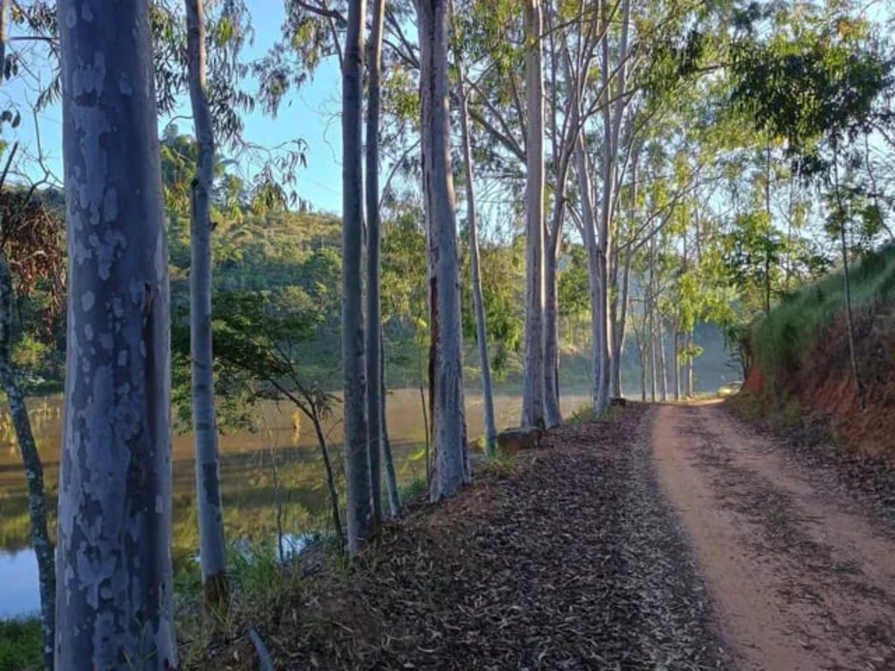 Fazenda à venda - Foto 11