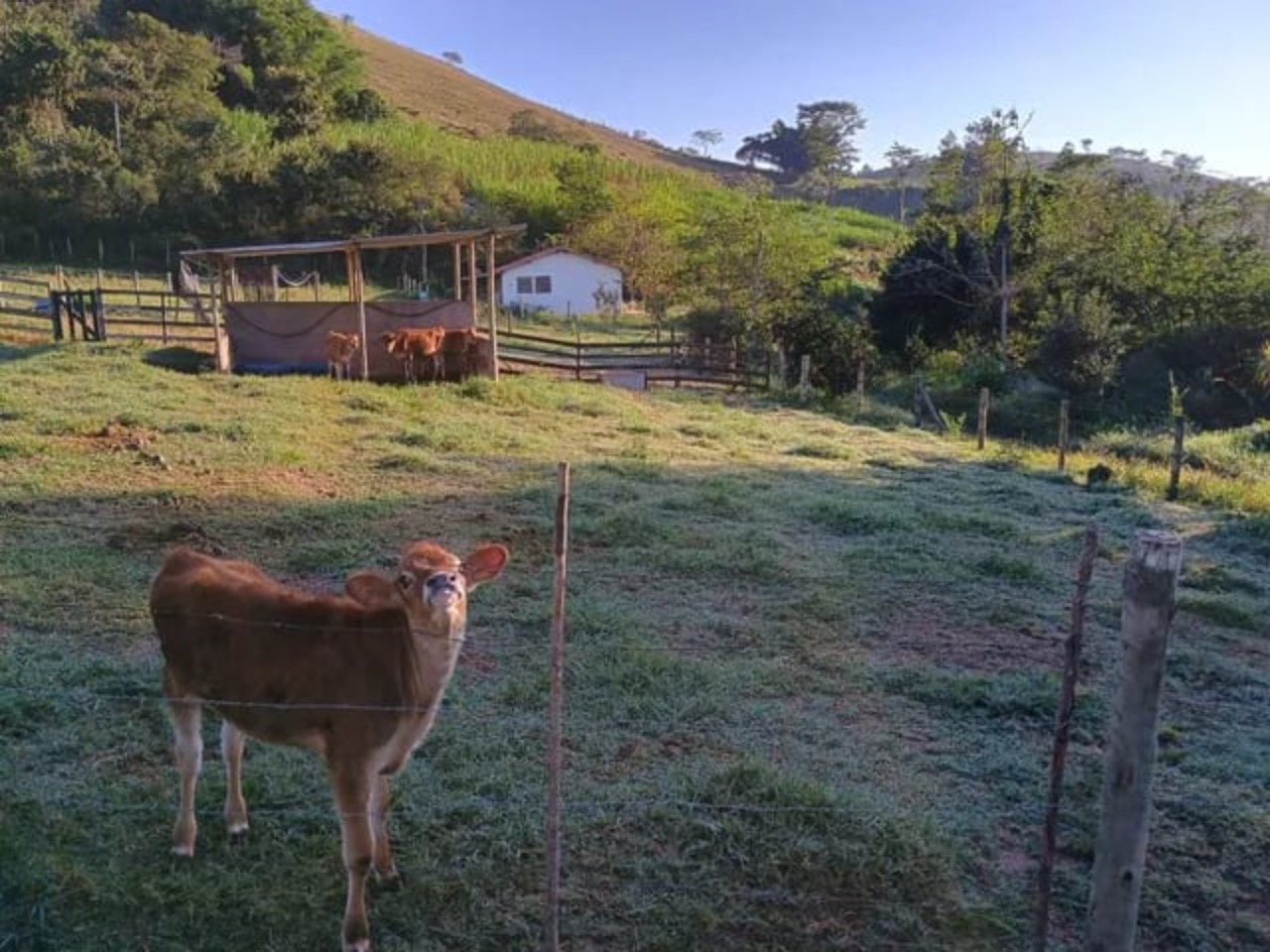 Fazenda à venda - Foto 9