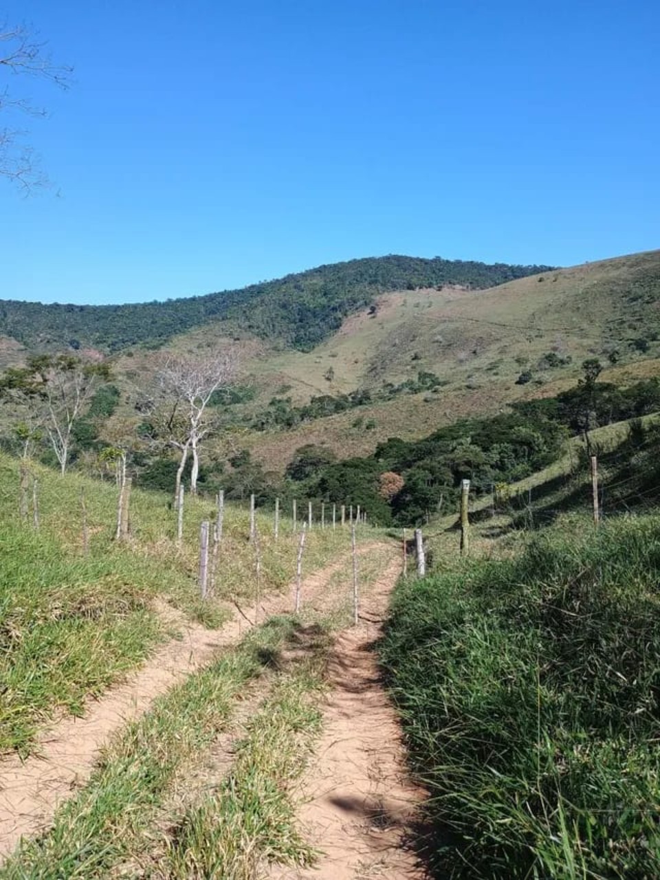 Fazenda à venda - Foto 6