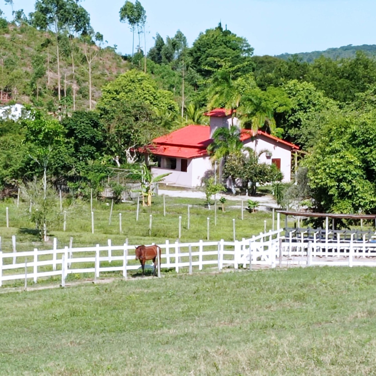 Sítio à venda com 5 quartos - Foto 1