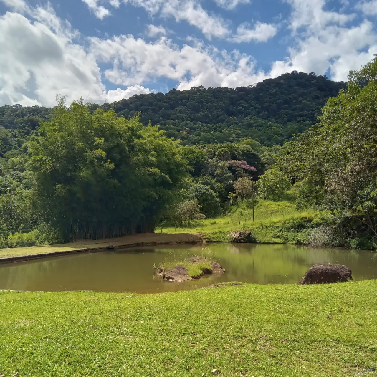 Fazenda à venda com 4 quartos - Foto 2