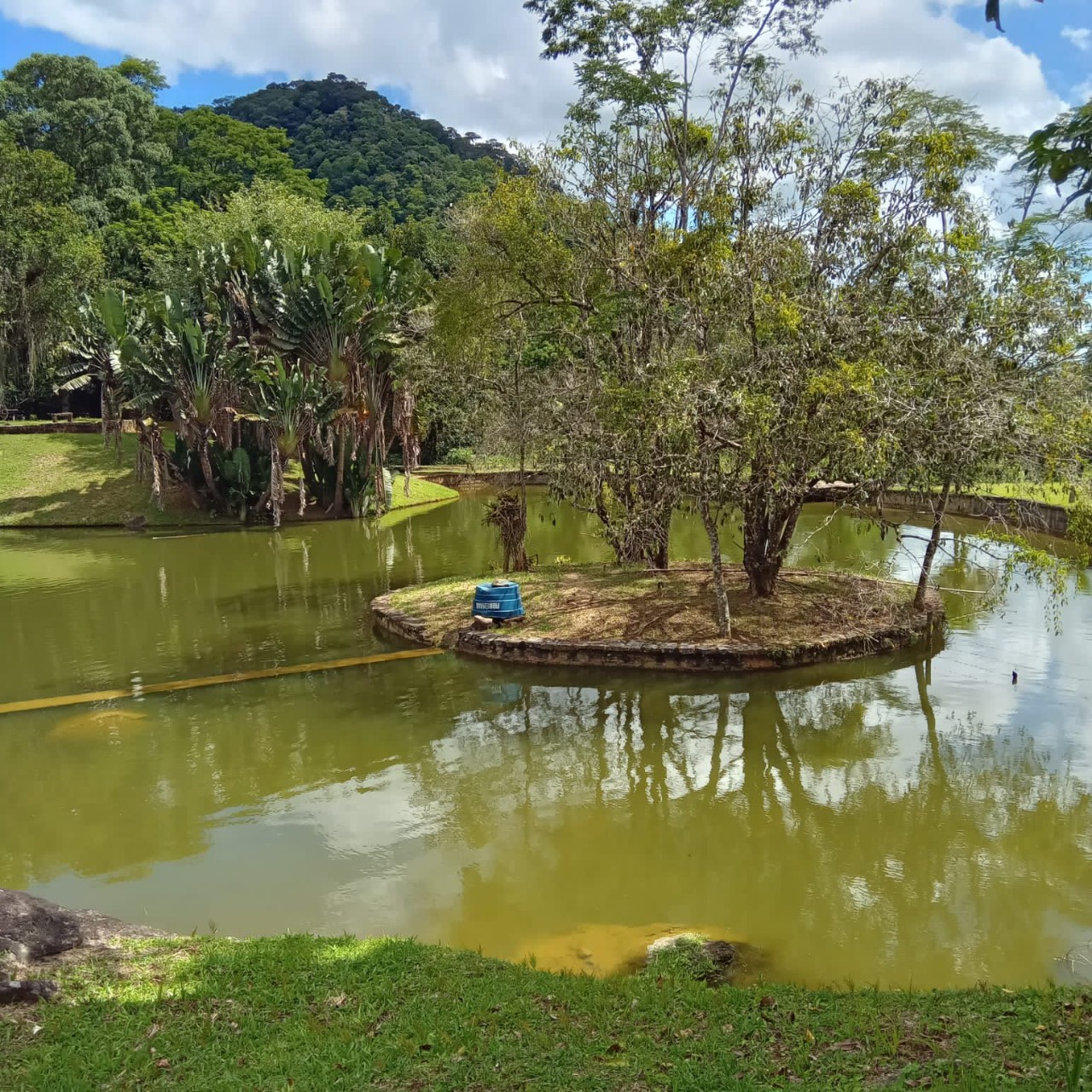 Fazenda à venda com 4 quartos - Foto 6