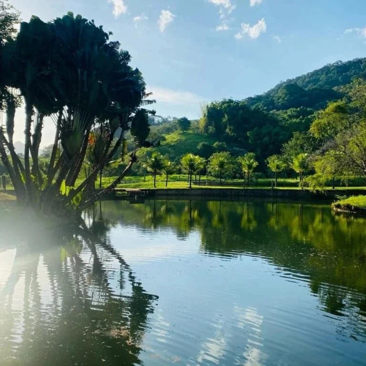 Fazenda à venda com 4 quartos - Foto 1