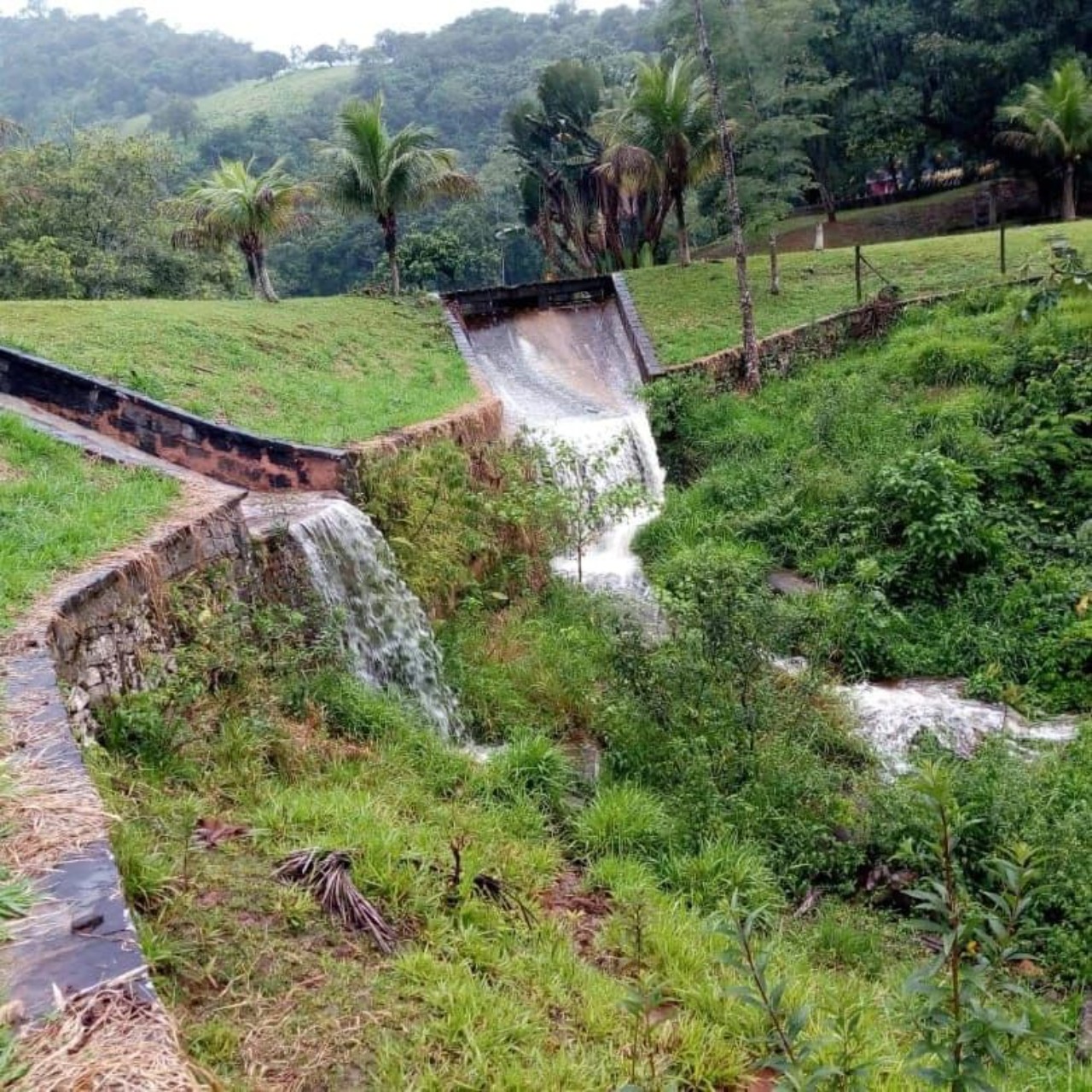 Fazenda à venda com 4 quartos - Foto 11