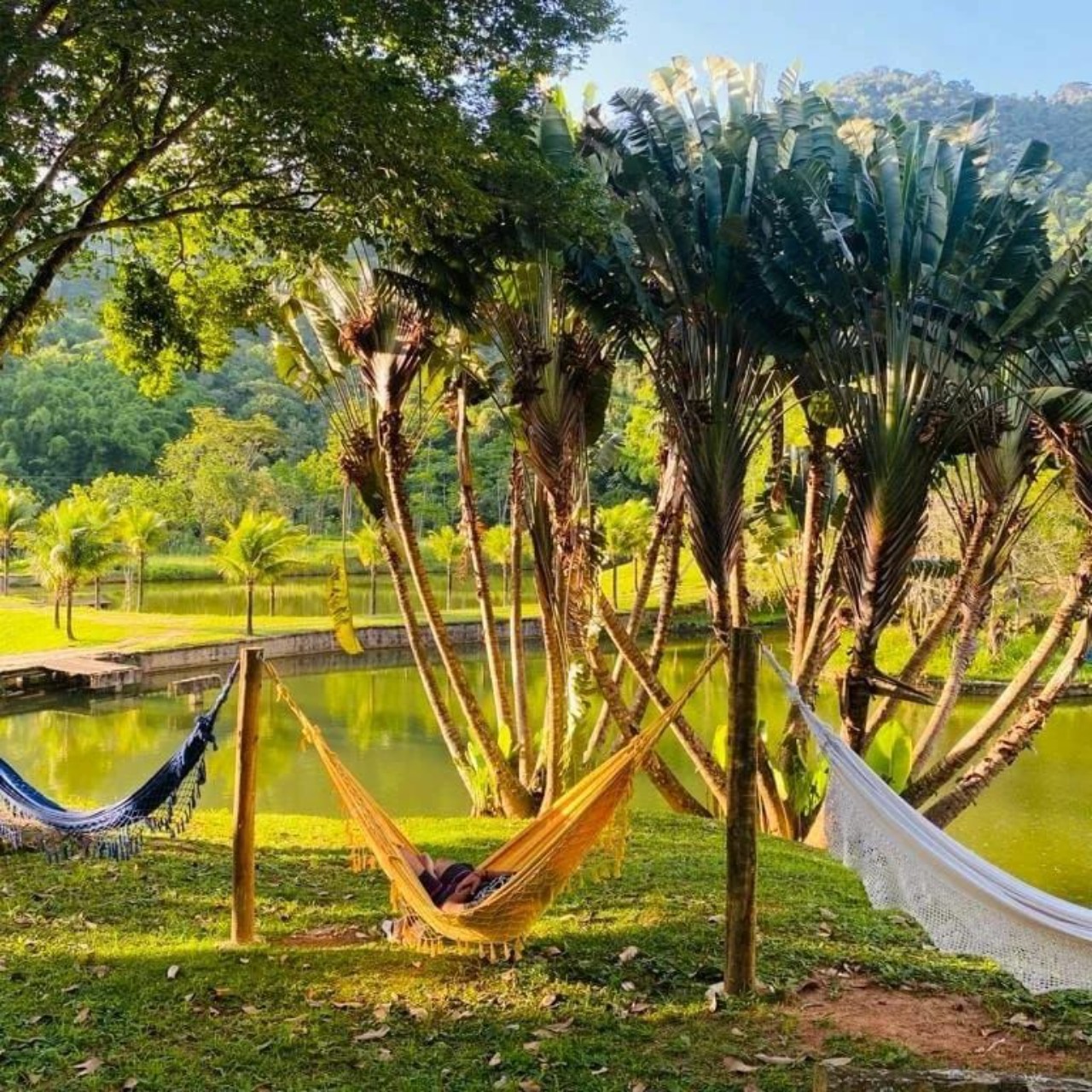 Fazenda à venda com 4 quartos - Foto 18