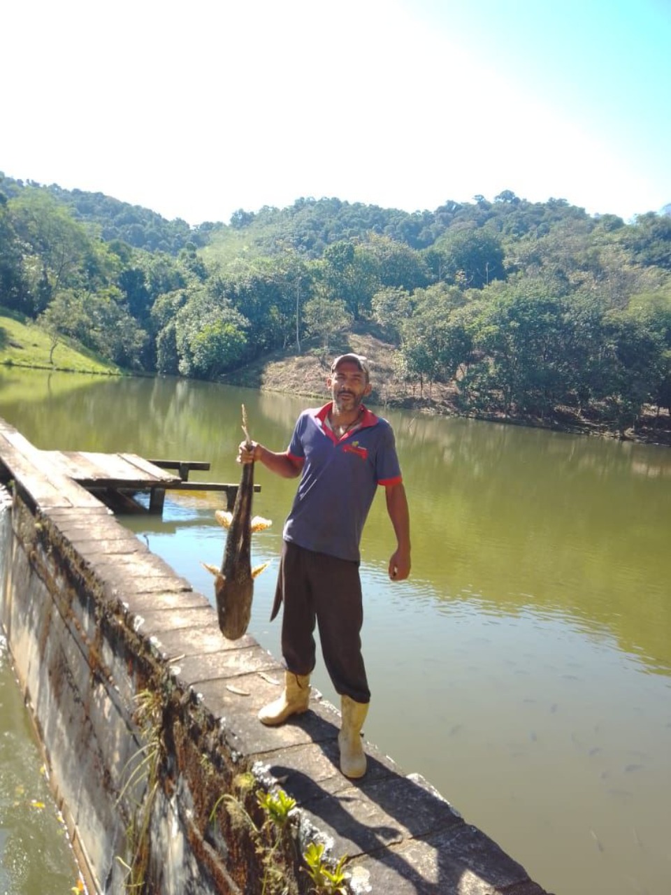 Fazenda à venda com 4 quartos - Foto 12