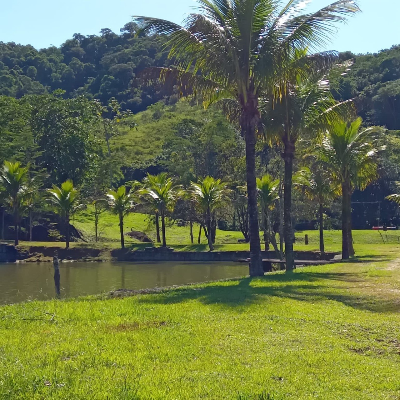 Fazenda à venda com 4 quartos - Foto 8