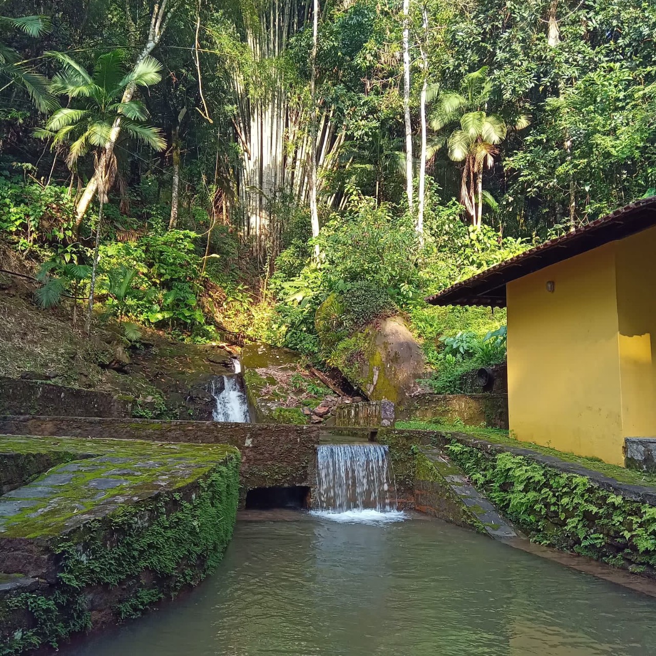 Fazenda à venda com 4 quartos - Foto 4