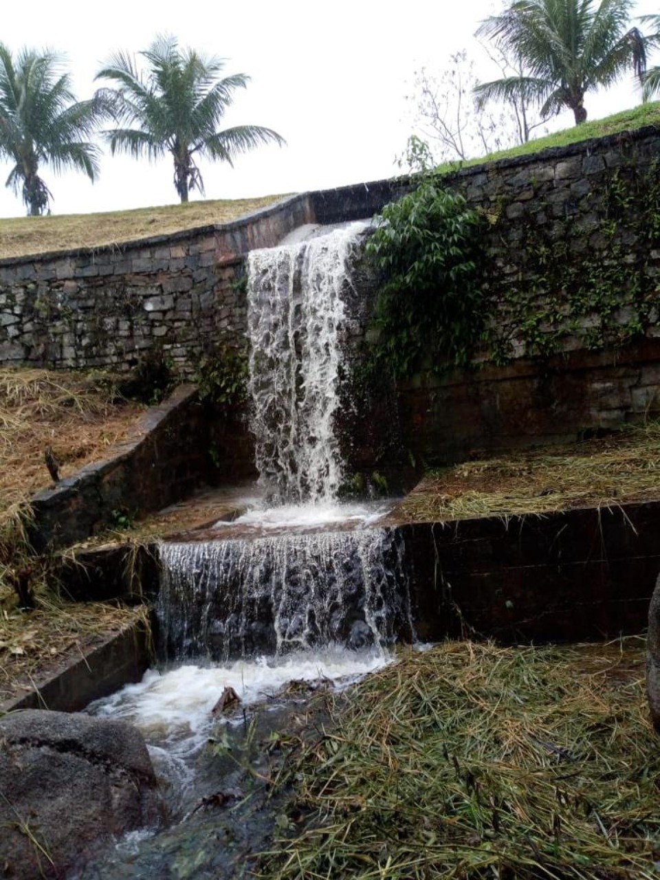 Fazenda à venda com 4 quartos - Foto 26