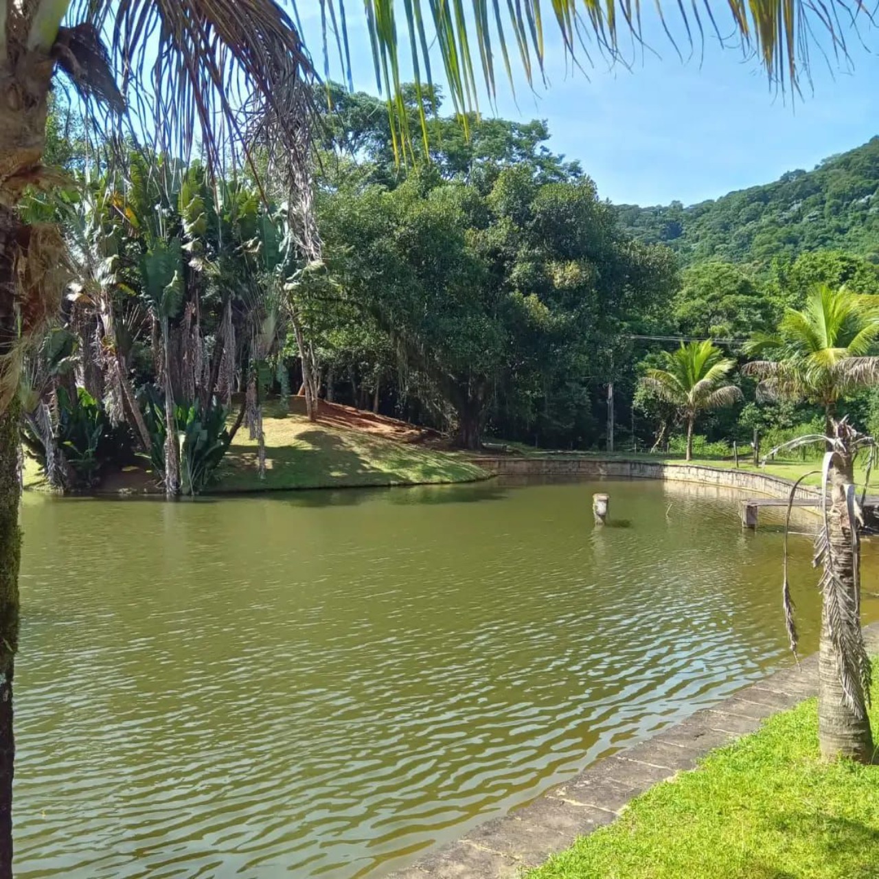 Fazenda à venda com 4 quartos - Foto 5