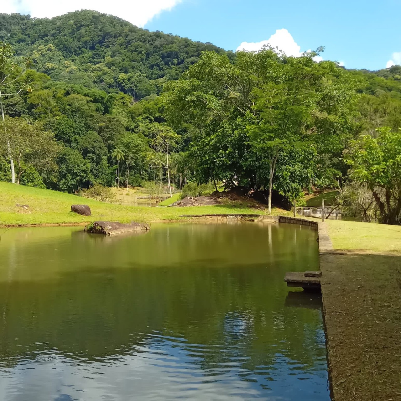 Fazenda à venda com 4 quartos - Foto 3