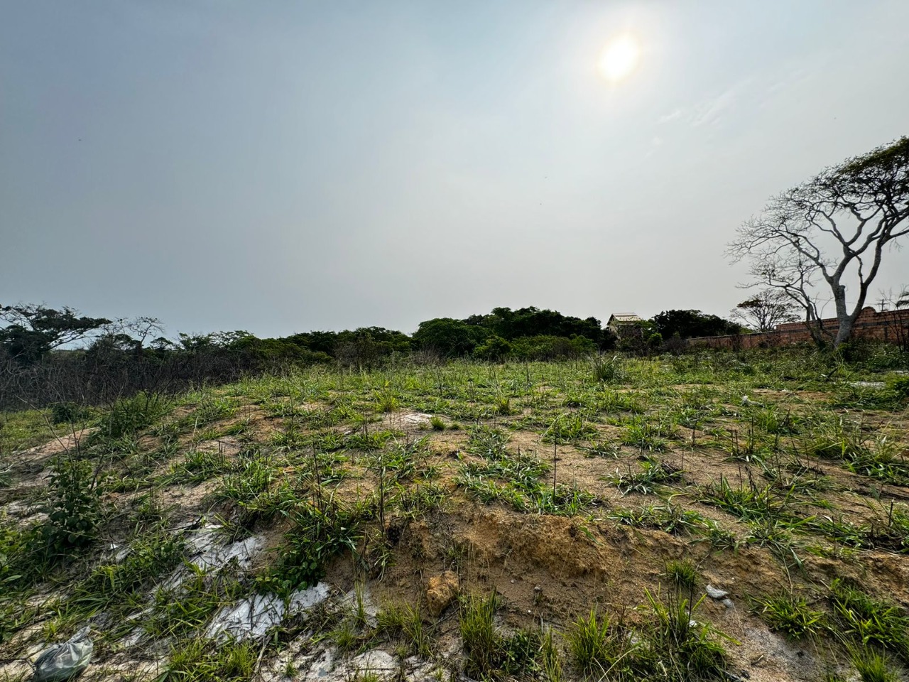 Terreno à venda, 600m² - Foto 2