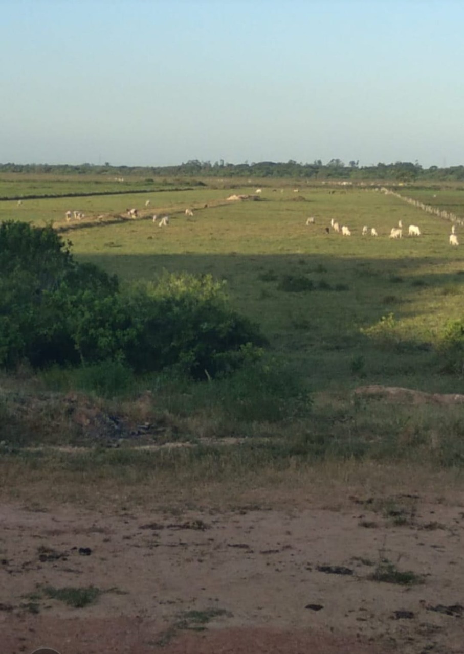 Haras e Área Rural Padrão à venda - Foto 4