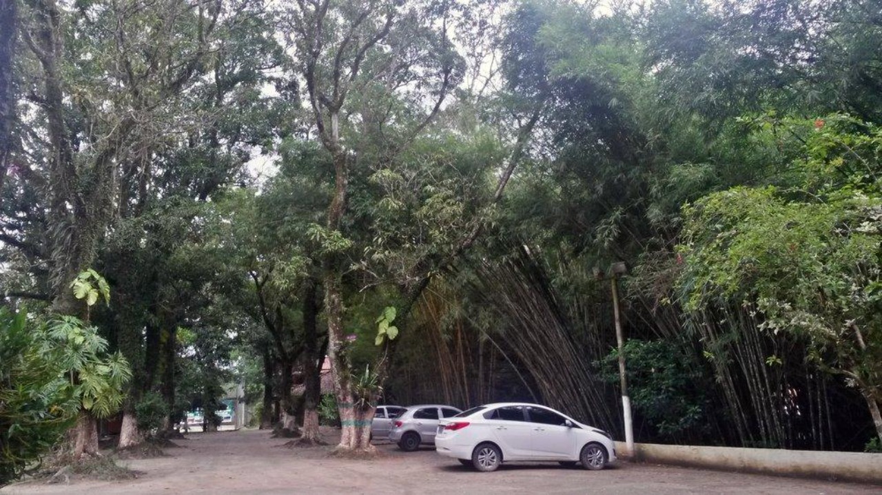 Fazenda à venda com 65 quartos - Foto 6