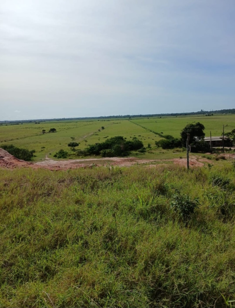 Haras e Área Rural Padrão à venda - Foto 1