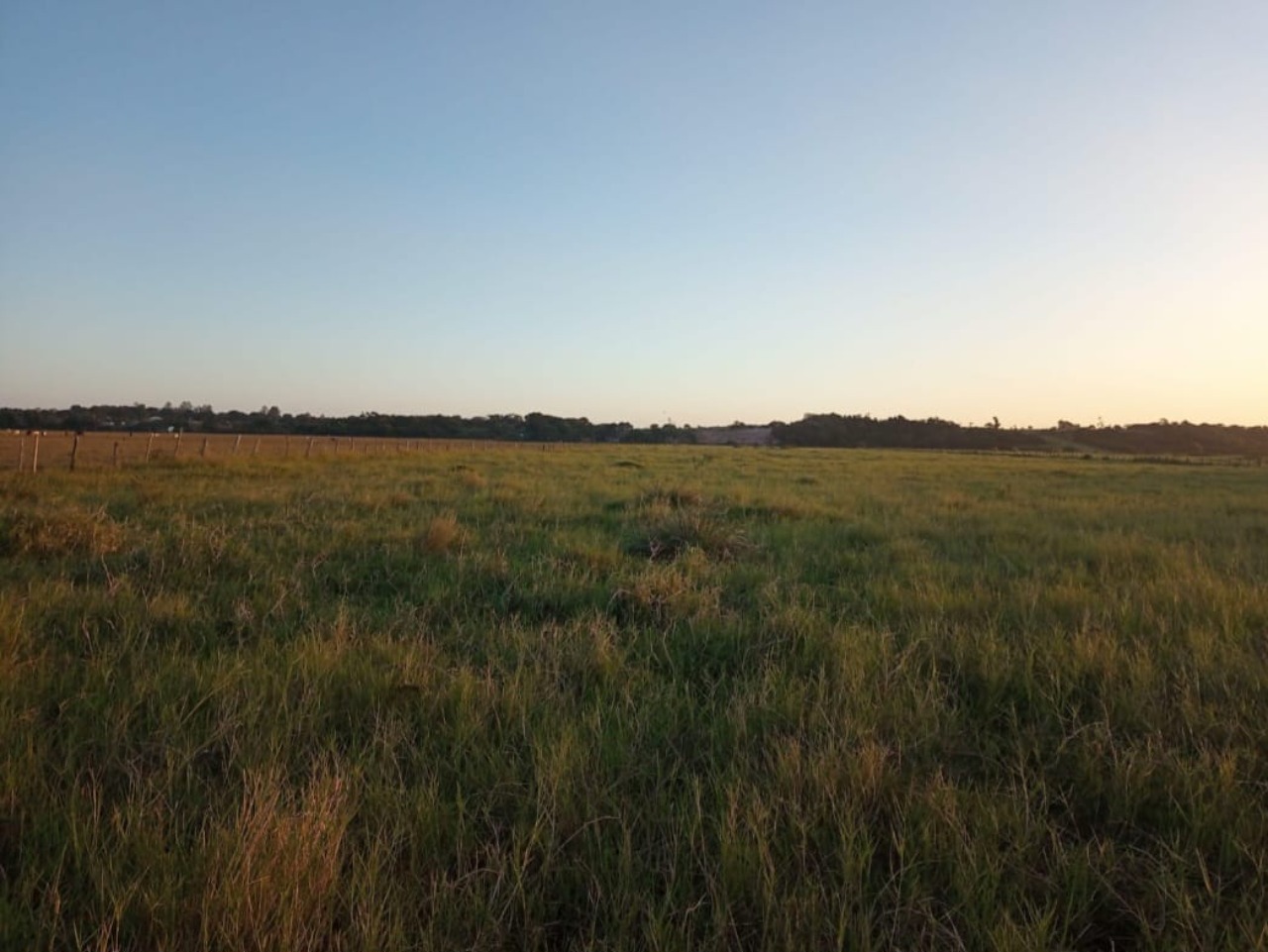 Haras e Área Rural Padrão à venda - Foto 6