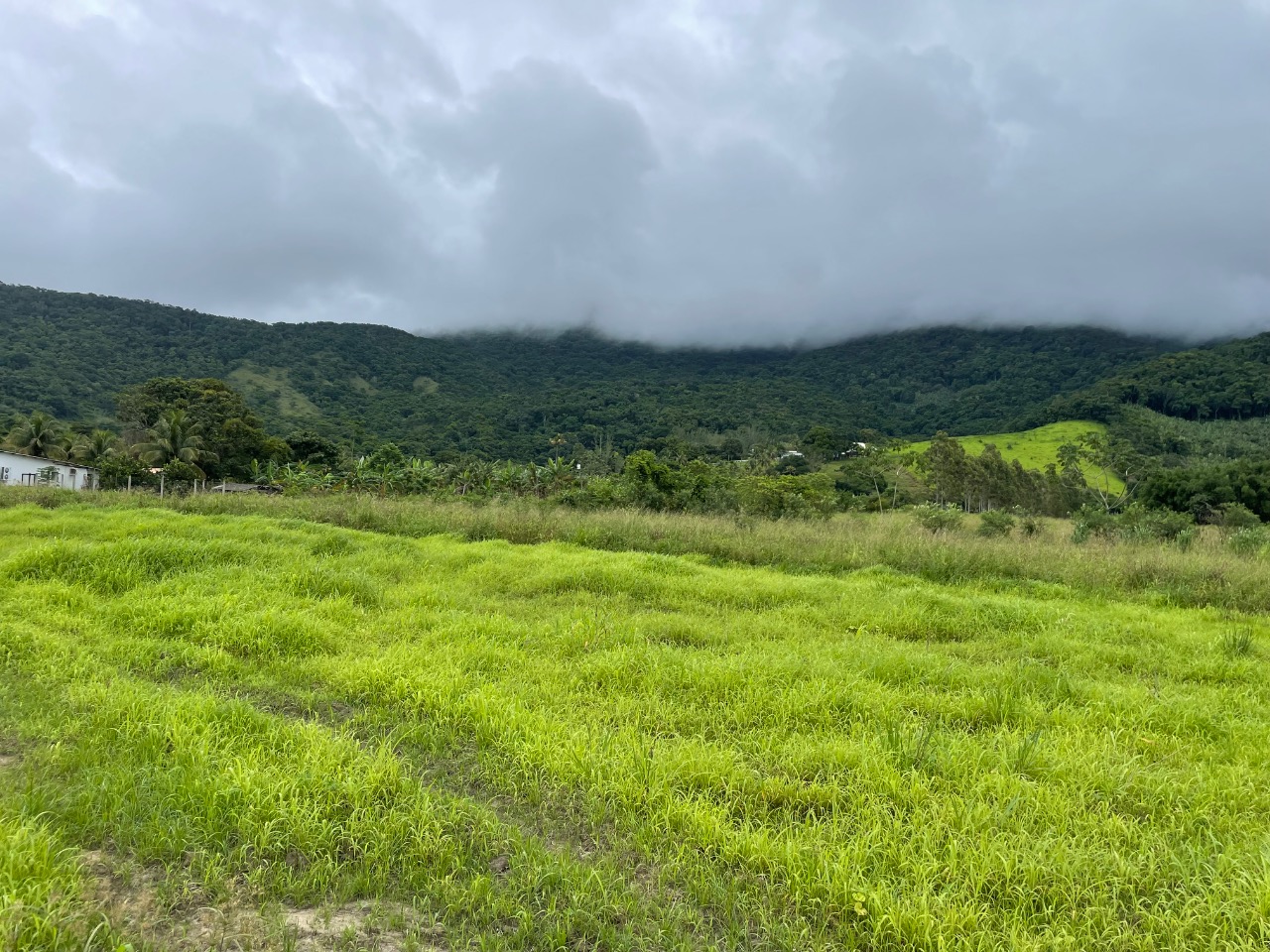 Terreno à venda, 1100m² - Foto 3