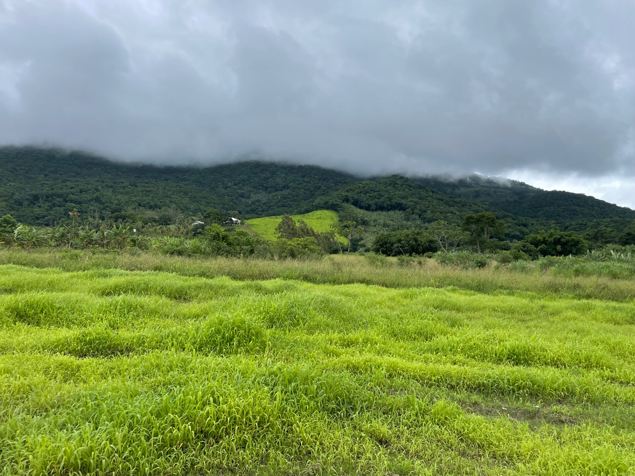 Terreno à venda, 1100m² - Foto 1