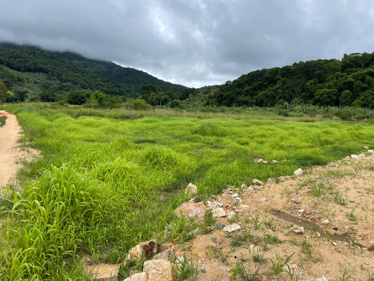 Terreno à venda, 1100m² - Foto 6