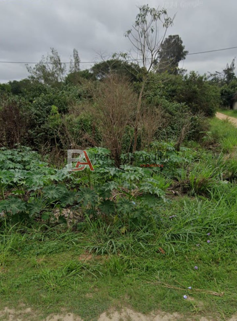 Terreno, 1000 m² - Foto 3