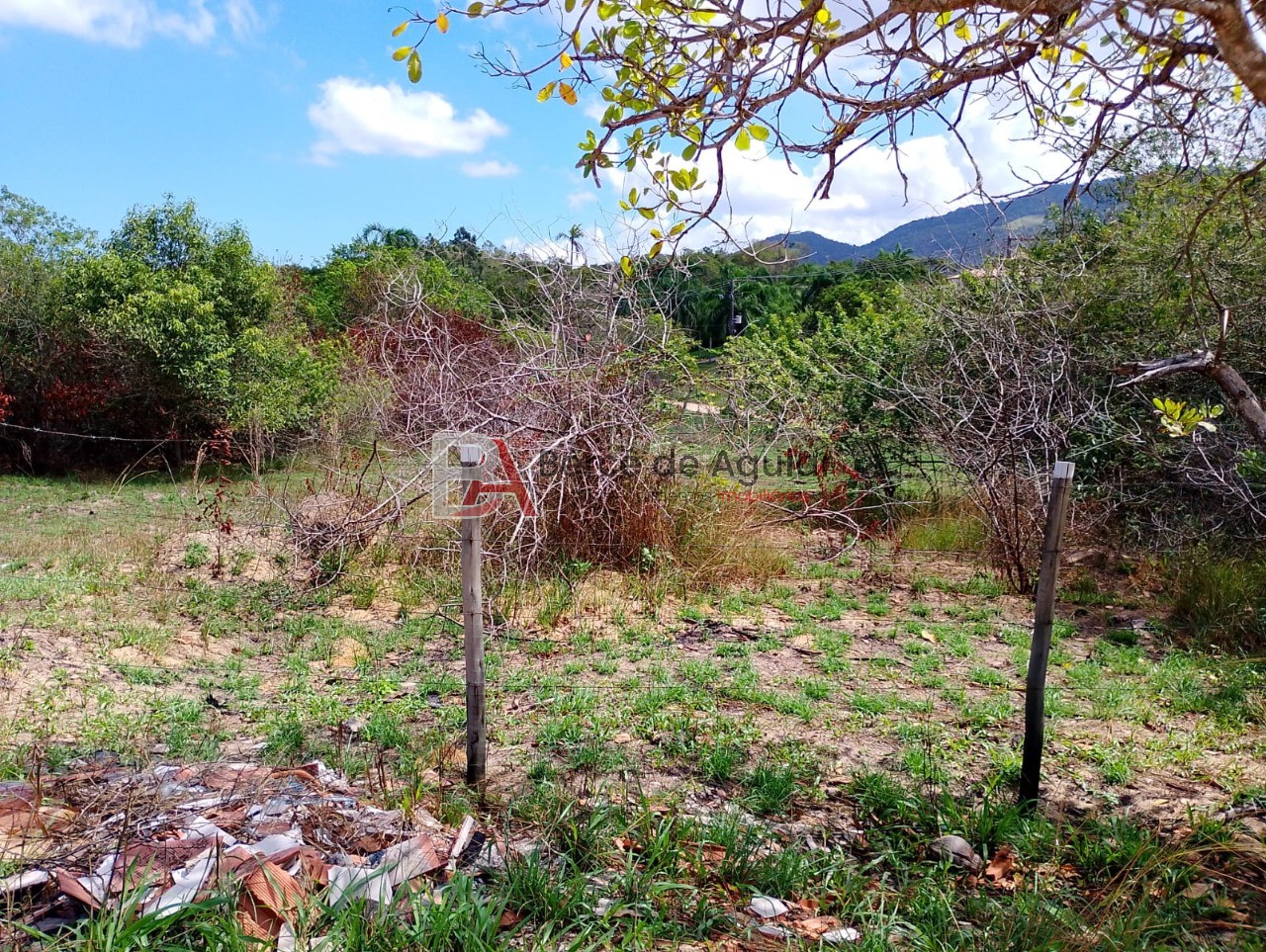 Terreno, 6000 m² - Foto 14