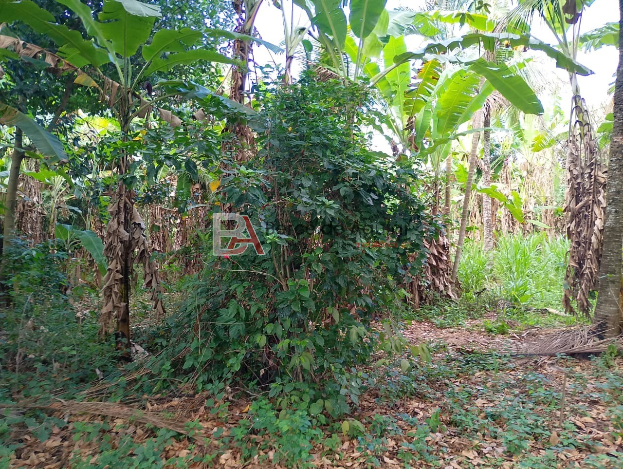Terreno, 2000 m² - Foto 10