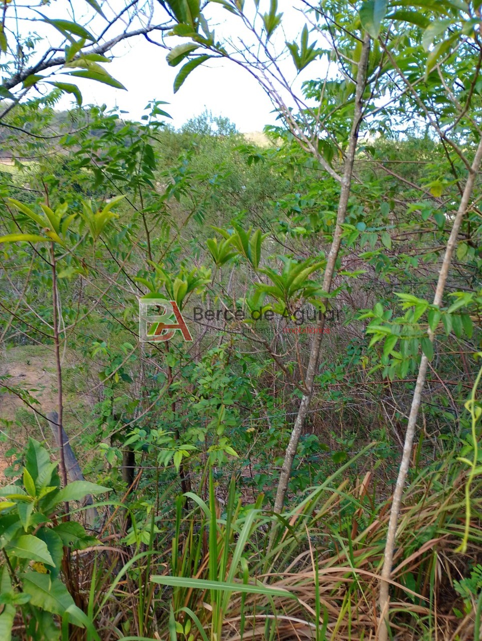 Terreno, 1100 m² - Foto 6