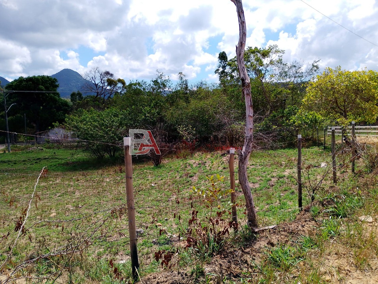 Terreno, 6000 m² - Foto 12