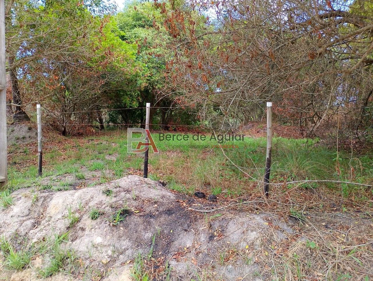 Terreno, 6000 m² - Foto 2