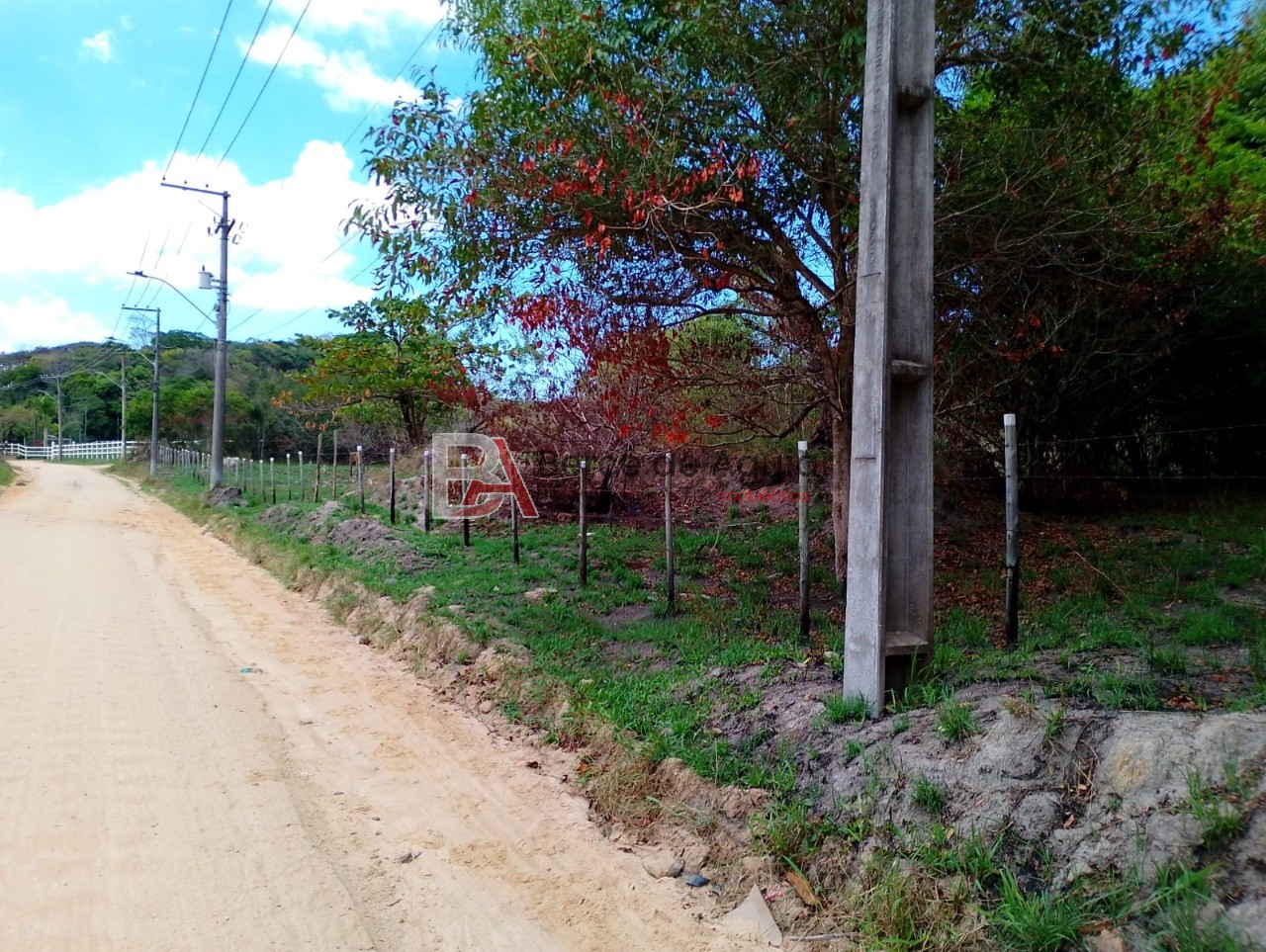Terreno, 6000 m² - Foto 3
