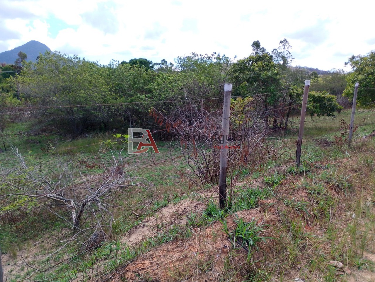 Terreno, 6000 m² - Foto 10