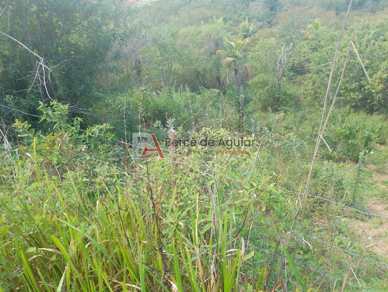 Terreno, 1100 m² - Foto 10