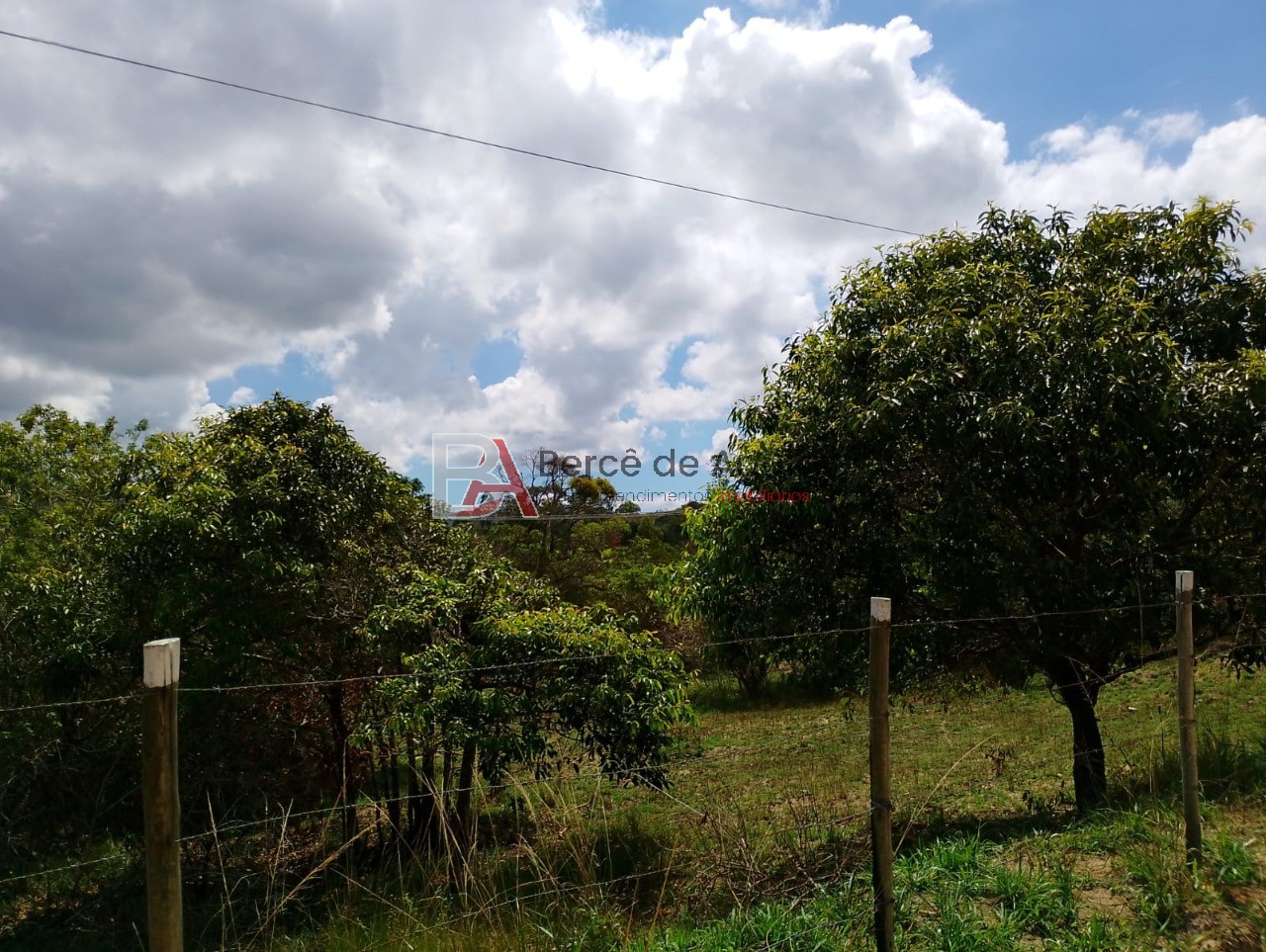 Terreno, 6000 m² - Foto 18