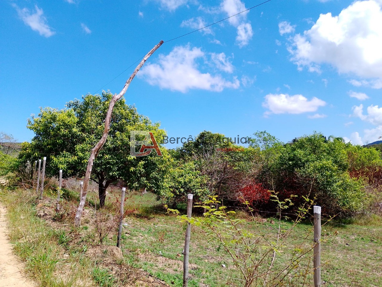 Terreno, 6000 m² - Foto 19