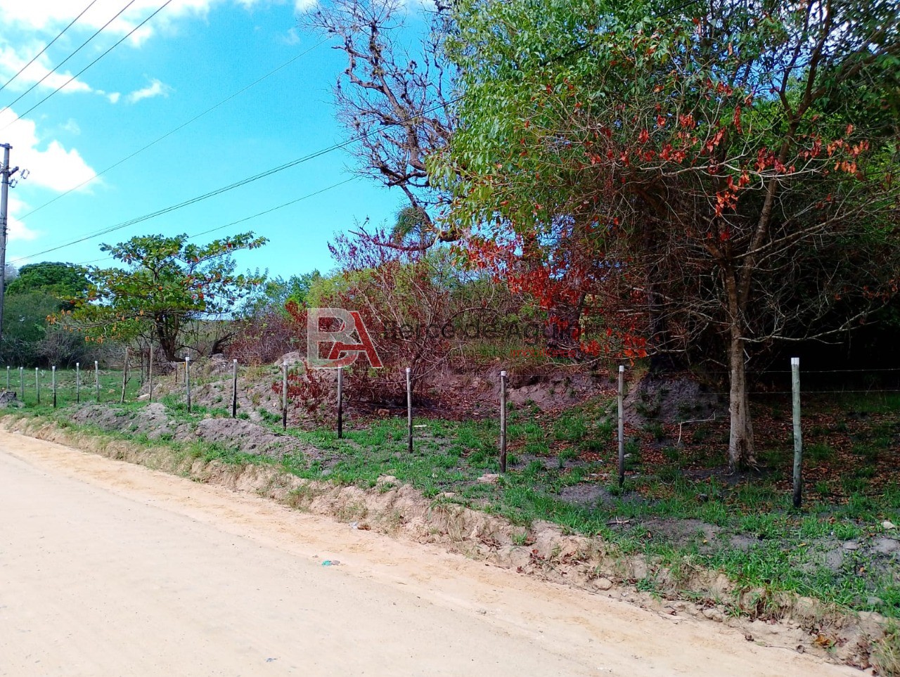 Terreno, 6000 m² - Foto 1