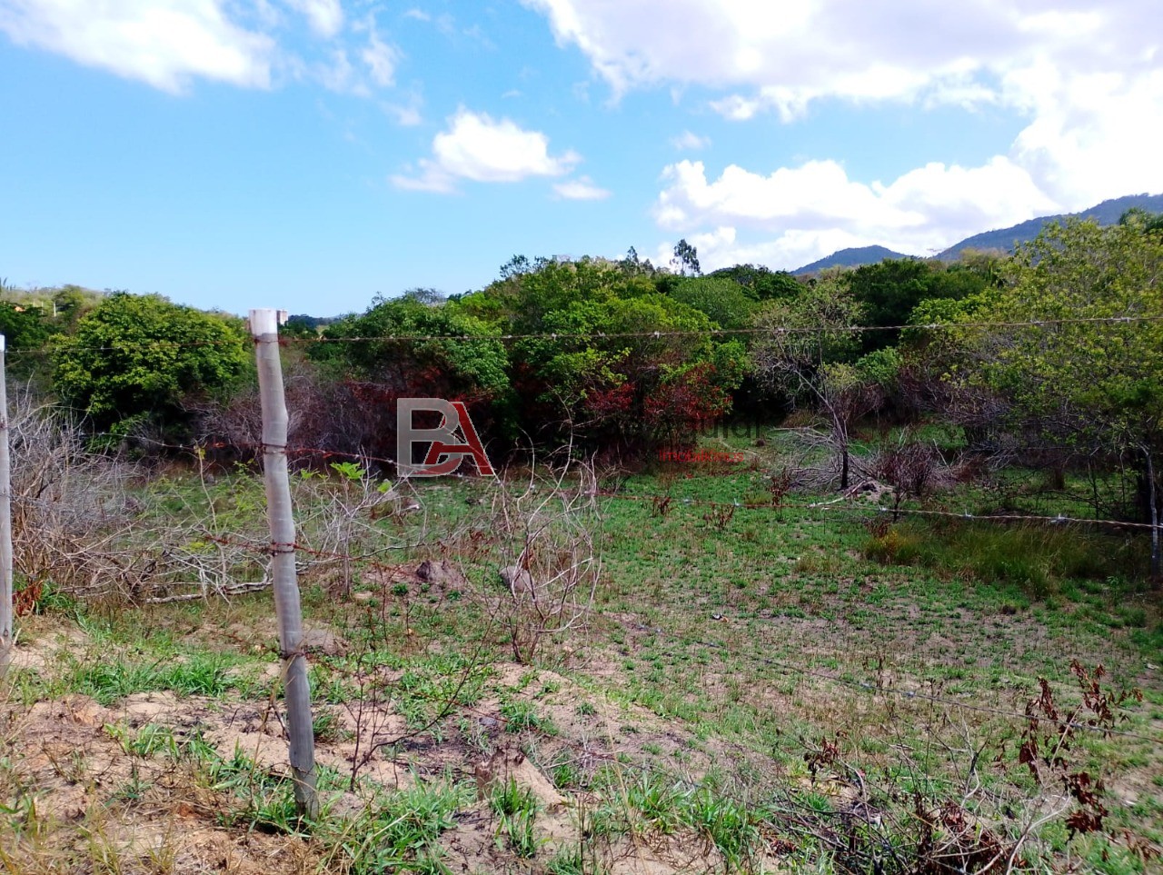 Terreno, 6000 m² - Foto 11