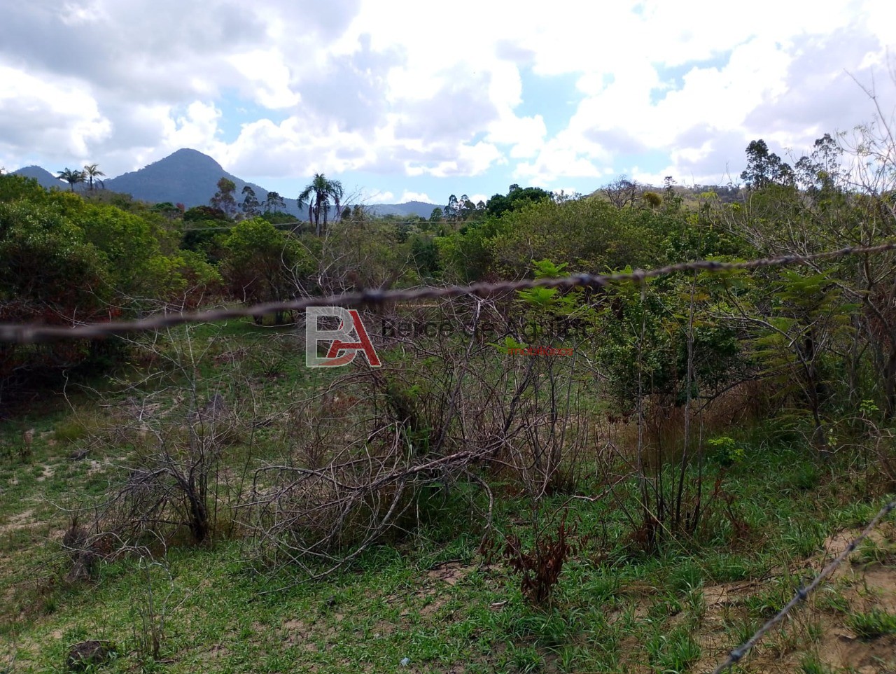 Terreno, 6000 m² - Foto 9