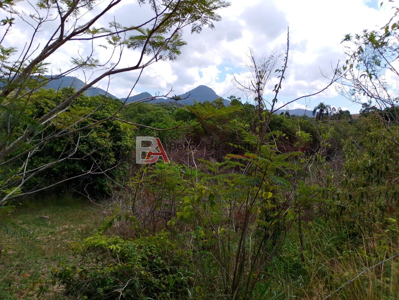 Terreno, 6000 m² - Foto 5