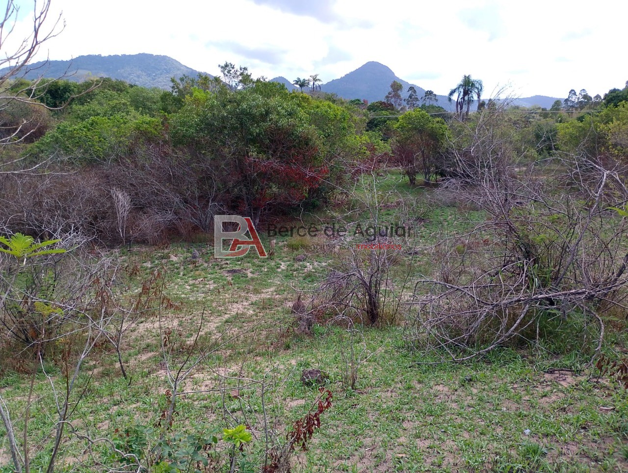 Terreno, 6000 m² - Foto 8