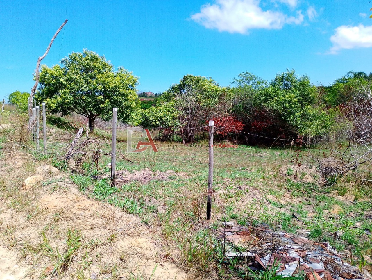 Terreno, 6000 m² - Foto 13