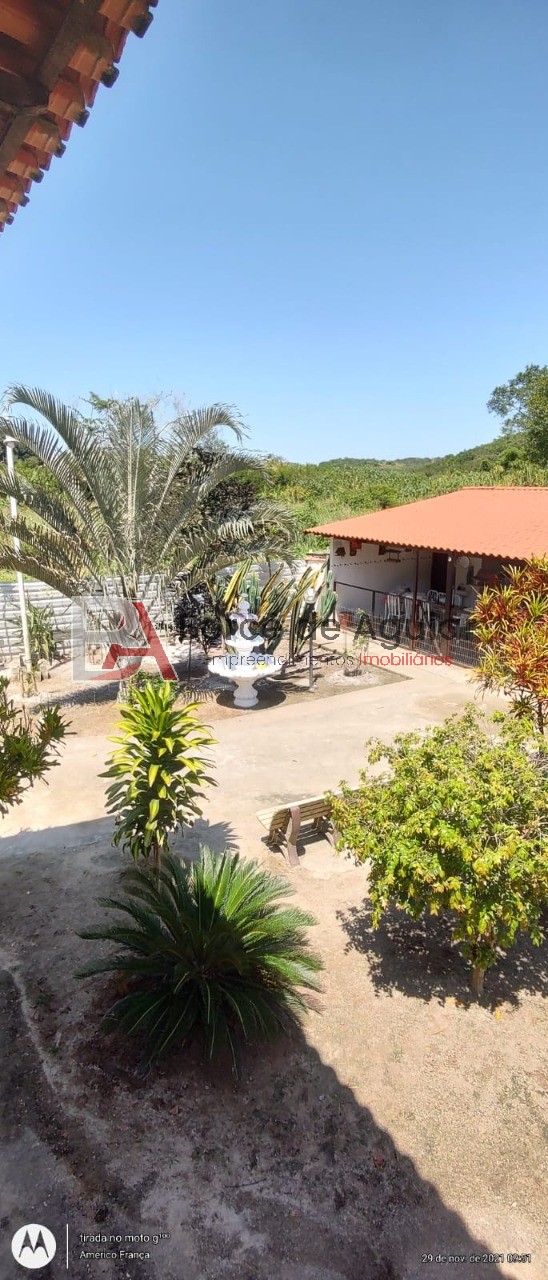 Sítio, 4 quartos, 6000 m² - Foto 4