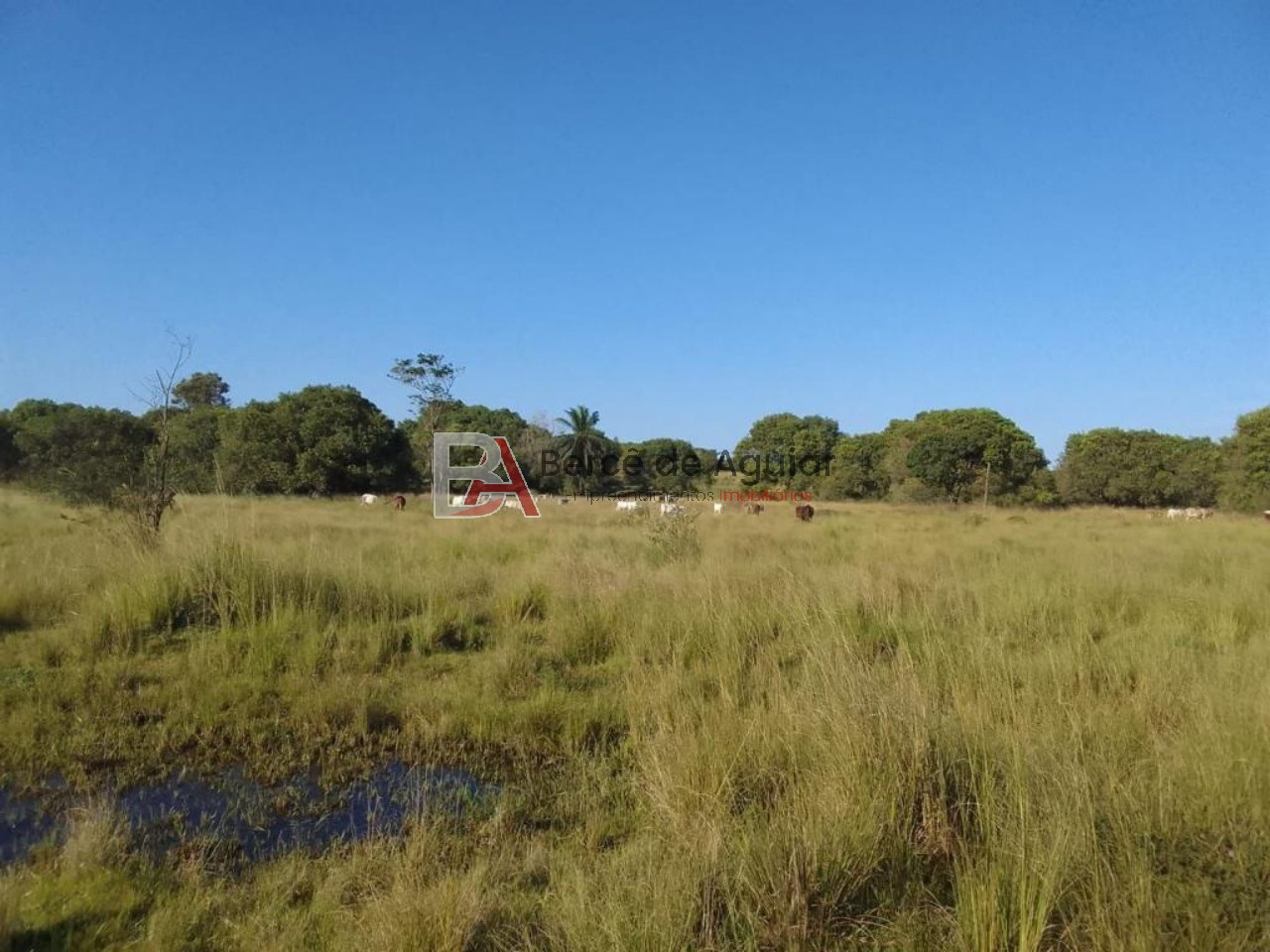 Fazenda, 3 quartos - Foto 1