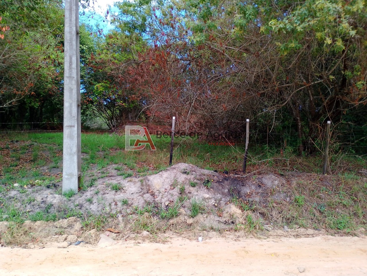 Terreno, 6000 m² - Foto 4