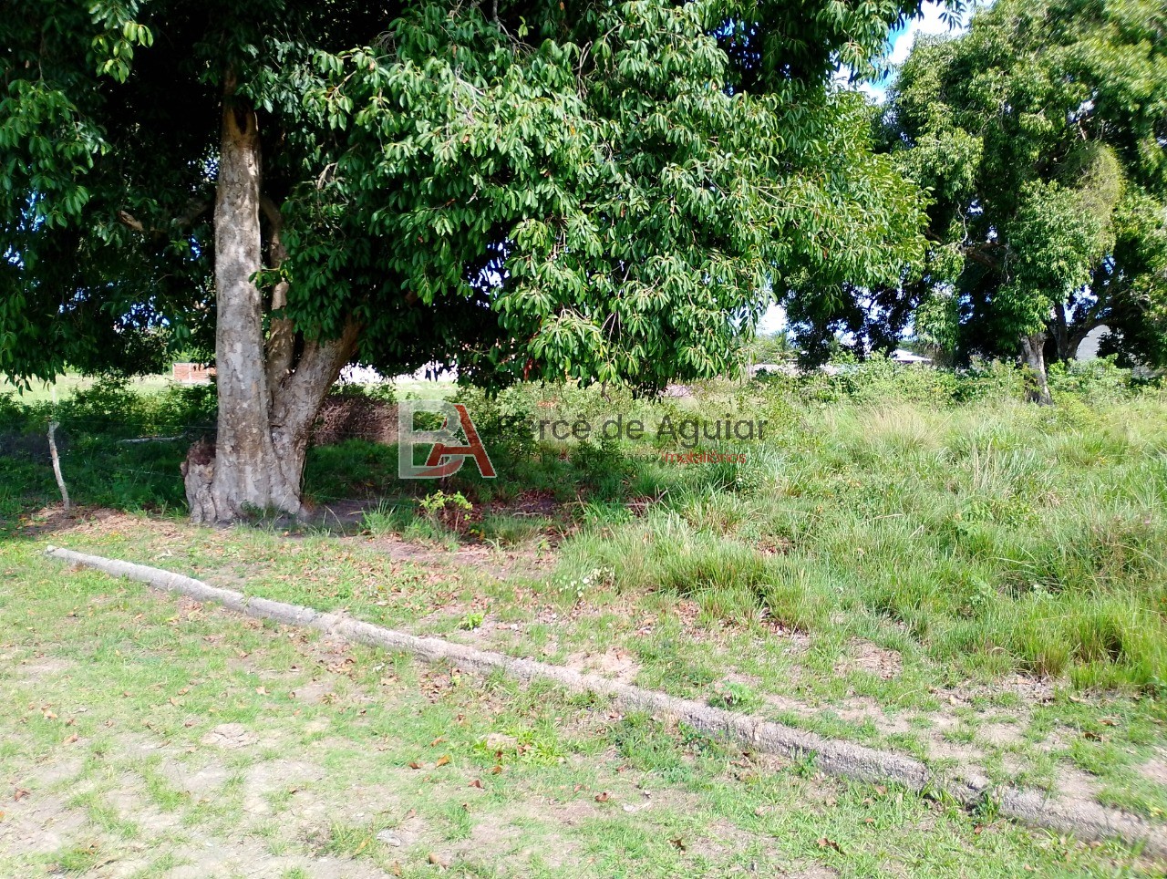 Terreno, 1200 m² - Foto 2