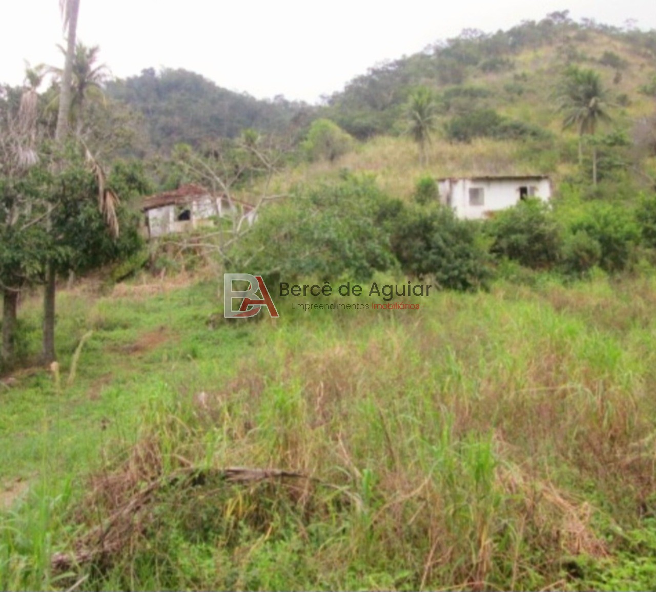 Fazenda - Foto 12